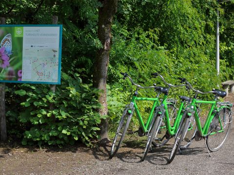 Camping Baalse Hei - Camping Anvers