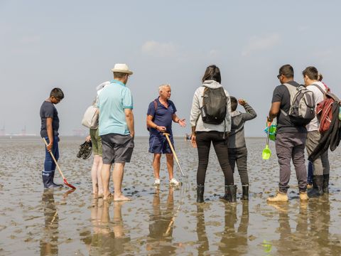 Center Parcs Park Nordseeküste - Camping Basse-saxe