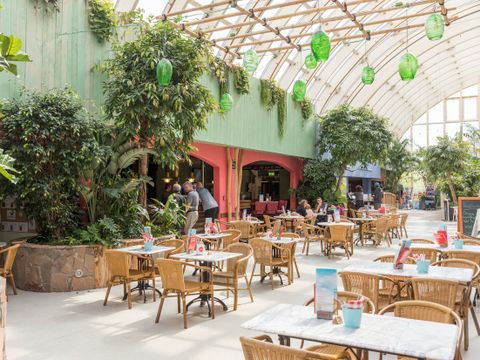 Center Parcs Park Nordseeküste - Camping Basse-saxe