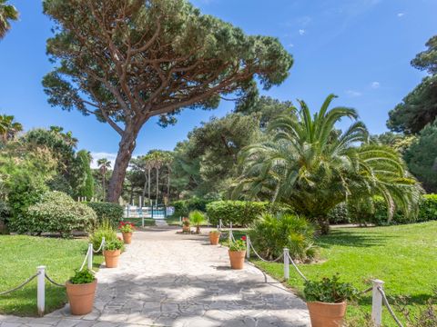 Pierre & Vacances Résidence La Pinède - Camping Var - Image N°2