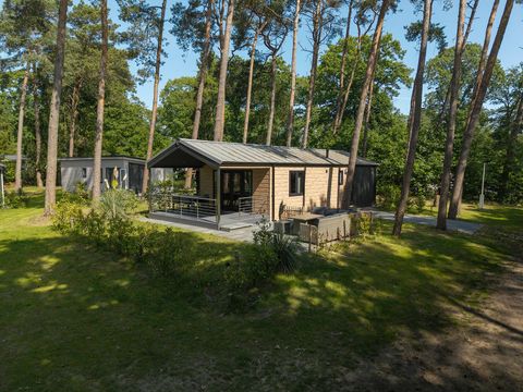 Bospark Markelo - Camping Hof von Twente - Image N°8