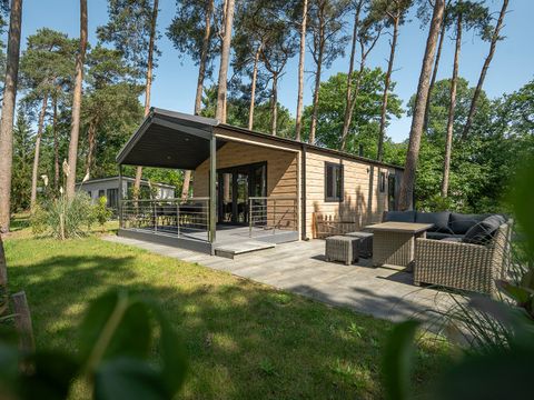 Bospark Markelo - Camping Hof von Twente - Image N°5
