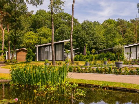 Bospark Markelo - Camping Hof von Twente - Image N°2