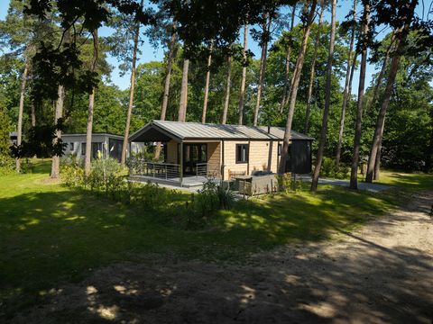 Bospark Markelo - Camping Hof von Twente - Image N°9