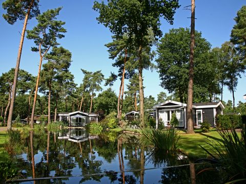 Bospark Markelo - Camping Hof von Twente