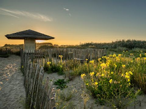 Verblijfpark Beachside - Camping Flandre Occidentale - Image N°42