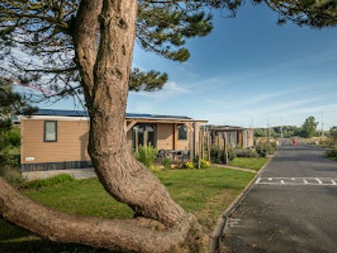 Verblijfpark Beachside - Camping Flandre Occidentale - Image N°28