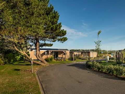 Verblijfpark Beachside - Camping Flandre Occidentale - Image N°16