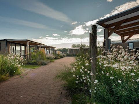 Verblijfpark Beachside - Camping Flandre Occidentale - Image N°31
