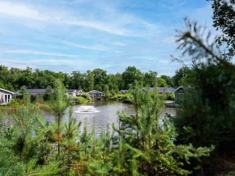 TopParken Recreatiepark Beekbergen - Camping Apeldoorn - Image N°28