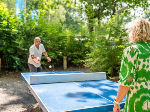 TopParken Recreatiepark Beekbergen - Camping Apeldoorn