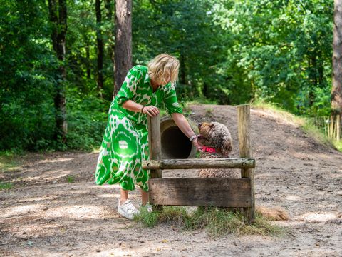 TopParken Recreatiepark Beekbergen - Camping Apeldoorn