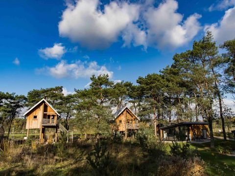 EuroParcs De Wije Werelt - Camping Ede - Image N°27
