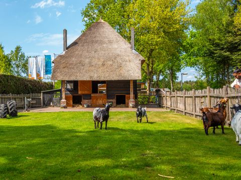 EuroParcs De Wije Werelt - Camping Ede