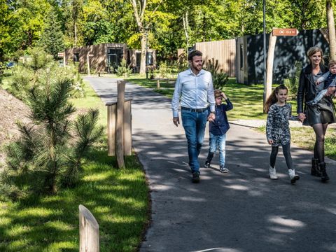 Summio Vakantiepark Schaijk - Camping Landerd - Image N°26