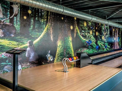 Summio Vakantiepark Schaijk - Camping Landerd - Image N°14