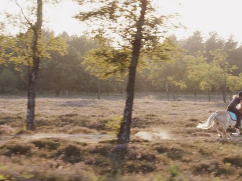 Summio Vakantiepark Schaijk - Camping Landerd - Image N°29