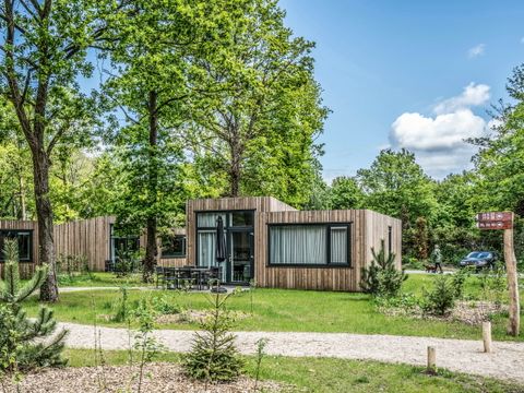 Summio Vakantiepark Schaijk - Camping Landerd