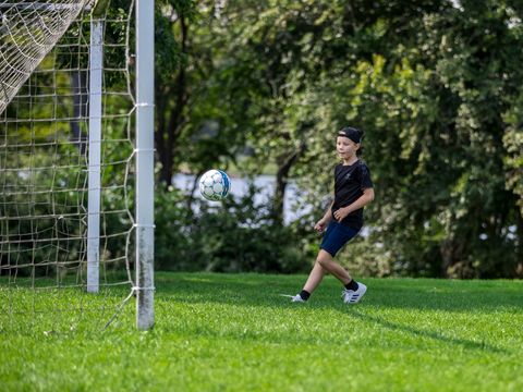 Landal De Vlinderhoeve - Camping Lochem