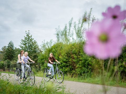 Landal De Vlinderhoeve - Camping Lochem