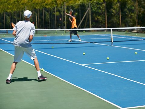 Campanula - Camping Schagen