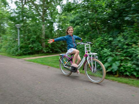 Campanula - Camping Schagen