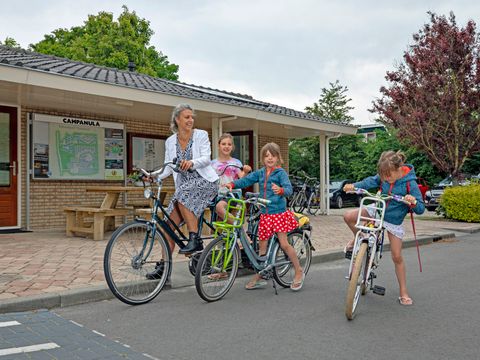 Campanula - Camping Schagen