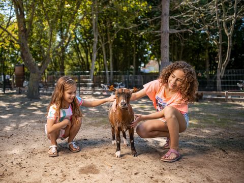Center Parcs Park De Haan - Camping Flandre Occidentale - Image N°9
