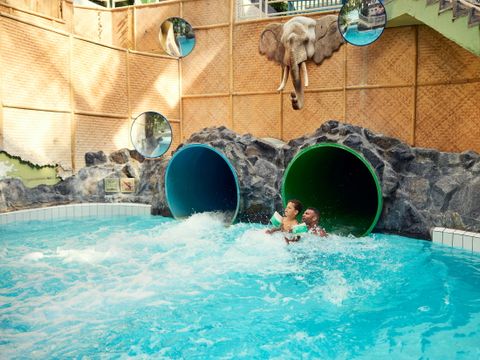 Center Parcs Park De Haan - Camping Flandre Occidentale - Image N°3