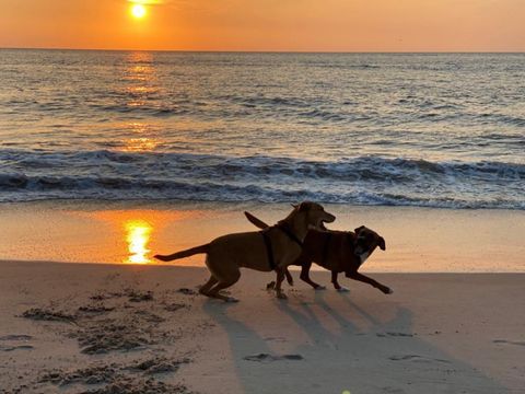 Park Zijpersluis - Camping Schagen