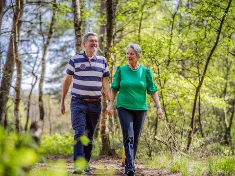 De Rimboe & Woeste Hoogte - Camping Apeldoorn