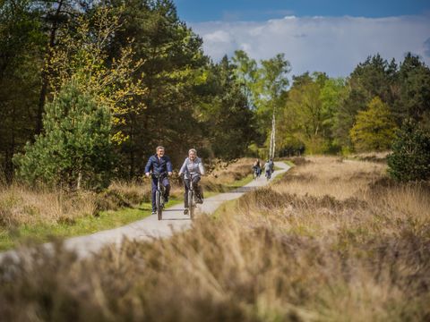 De Rimboe & Woeste Hoogte - Camping Apeldoorn