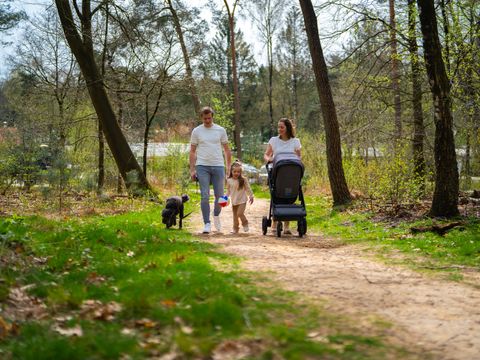 De Rimboe & Woeste Hoogte - Camping Apeldoorn