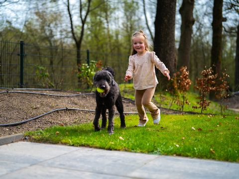 De Rimboe & Woeste Hoogte - Camping Apeldoorn - Image N°2