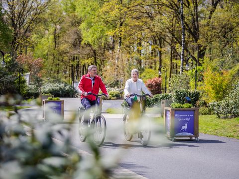 De Rimboe & Woeste Hoogte - Camping Apeldoorn