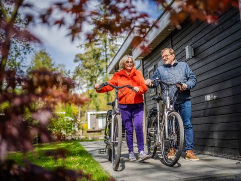 De Rimboe & Woeste Hoogte - Camping Apeldoorn