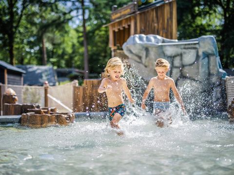 De Rimboe & Woeste Hoogte - Camping Apeldoorn - Image N°5