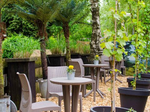 Ferienpark Grafschaft Bentheim - Camping Basse-saxe