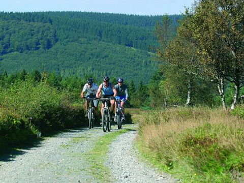 Aparthotel Jägerhaus - Camping Hesse - Image N°3