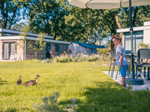 EuroParcs Kaatsheuvel - Camping Loon op Zand - Image N°22