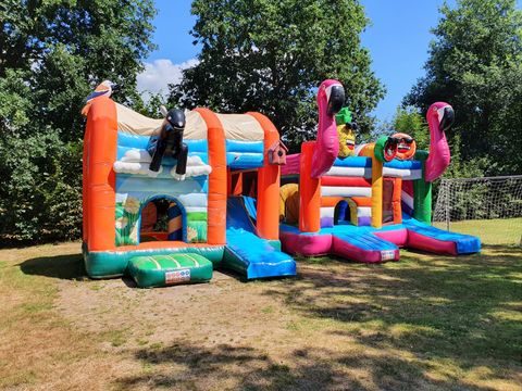 Camping de Vinkenkamp - Camping Apeldoorn - Image N°8