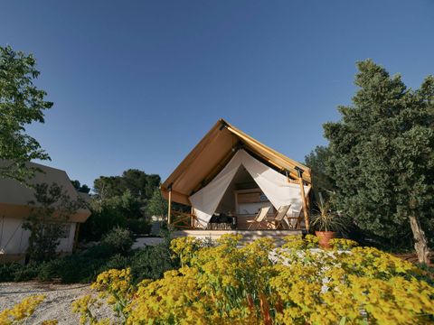 EuroParcs Utrechtse Heuvelrug - Camping Utrechtse Heuvelrug - Image N°16