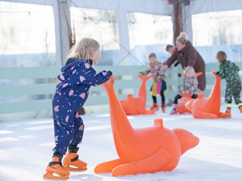 Familie Resort Molenwaard - Camping Molenlanden - Image N°49