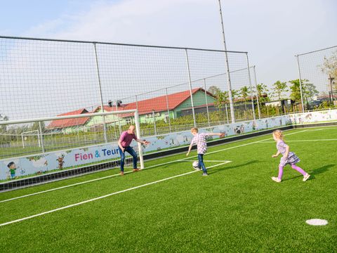 Familie Resort Molenwaard - Camping Molenlanden