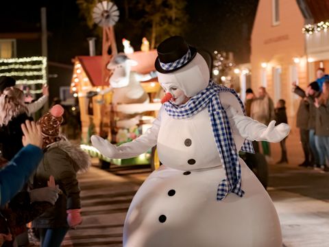 Familie Resort Molenwaard - Camping Molenlanden