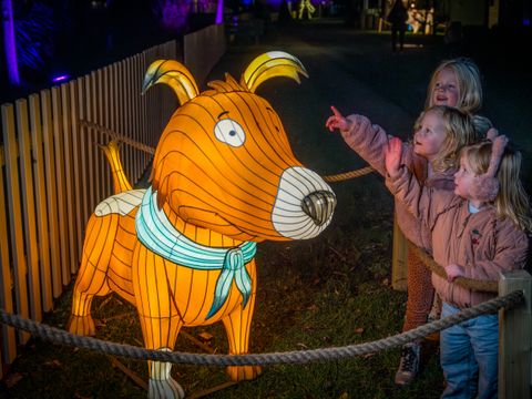 Familie Resort Molenwaard - Camping Molenlanden