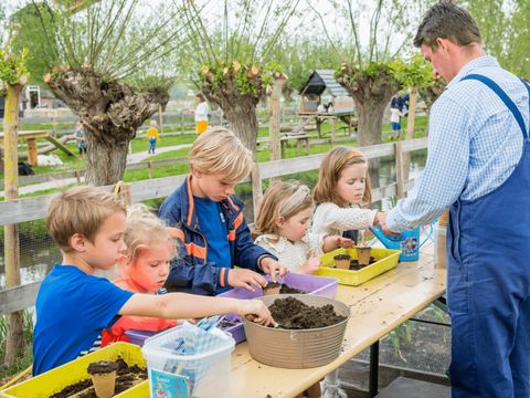 Familie Resort Molenwaard - Camping Molenlanden - Image N°21