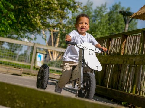 Familie Resort Molenwaard - Camping Molenlanden - Image N°11
