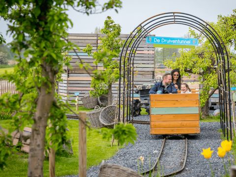 Familie Resort Molenwaard - Camping Molenlanden - Image N°19