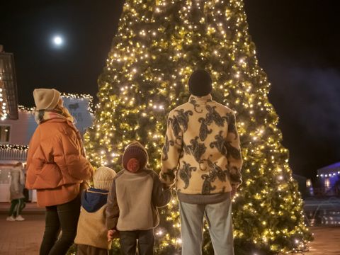 Familie Resort Molenwaard - Camping Molenlanden